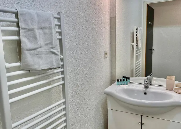 Le Nid Douillet - 4 Personnes - Terrasse Couverte Апартаменты Лурд