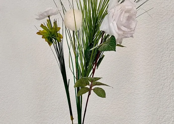 Le Nid Douillet - 4 Personnes - Terrasse Couverte * Лурд